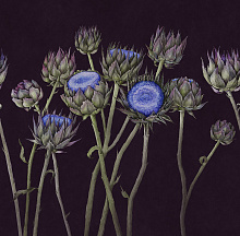 Factura FASHION ARTICHOKE 6